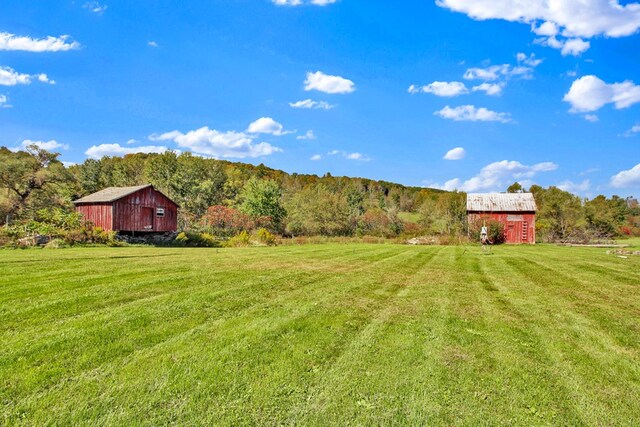 20 Mill Creek Rd, Mansfield, PA 16933 - view of grassy yard featuring a view of rural / pastoral area, an outbuilding, and a view of trees
