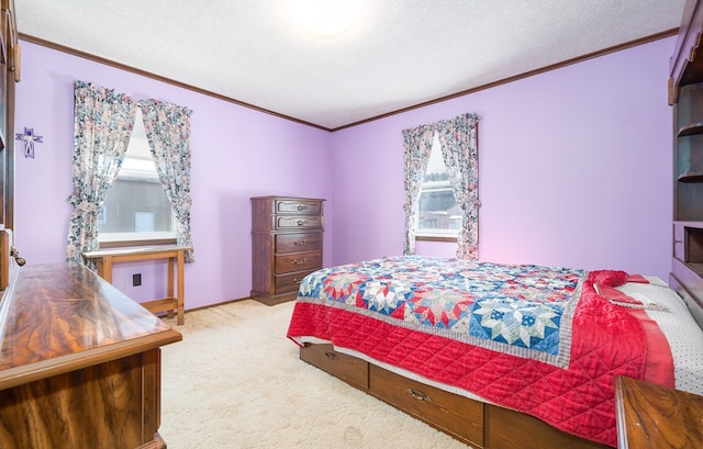 56 Benson Ave, Mansfield, PA 16933 - carpeted bedroom featuring crown molding and a textured ceiling