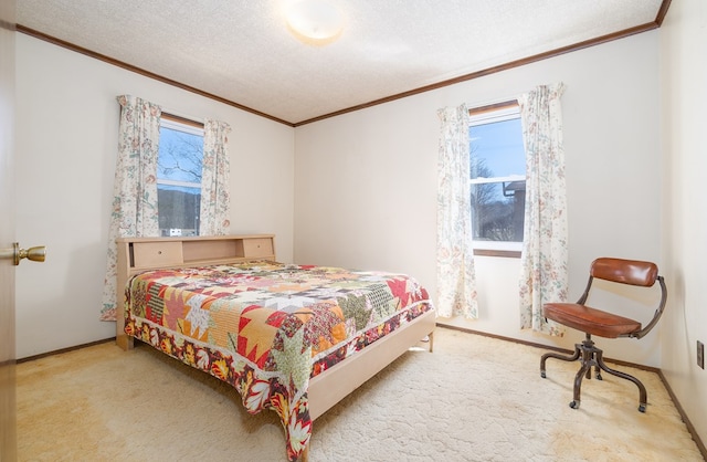56 Benson Ave, Mansfield, PA 16933 - carpeted bedroom with multiple windows, crown molding, and a textured ceiling