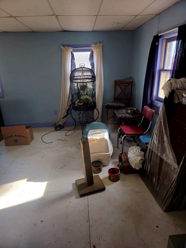 88 Finkenbinder Rd, Spencer, NY 14883 - miscellaneous room featuring concrete flooring, a drop ceiling, and a healthy amount of sunlight
