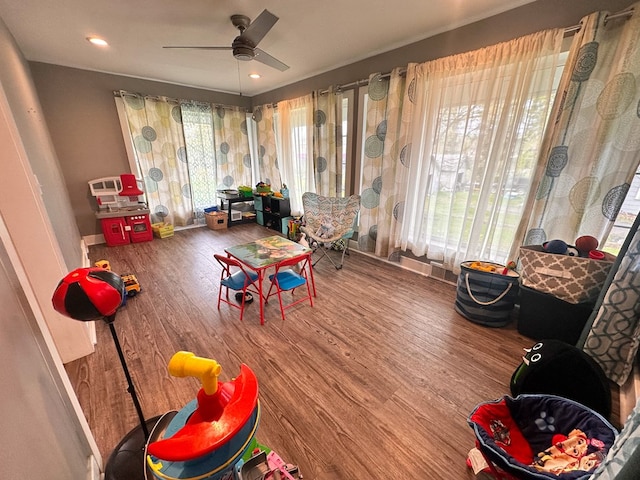 62 Canoe Camp Creek Rd, Mansfield, PA 16933 - rec room with plenty of natural light, a ceiling fan, and wood finished floors