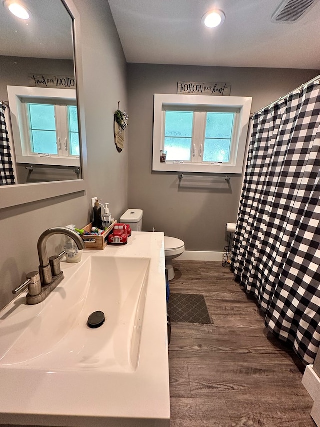 62 Canoe Camp Creek Rd, Mansfield, PA 16933 - bathroom with a wealth of natural light, toilet, wood finished floors, and visible vents
