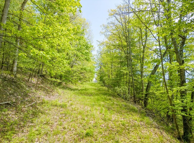 0 Bliss Rd, Lawrenceville, PA 19629 - photo 21