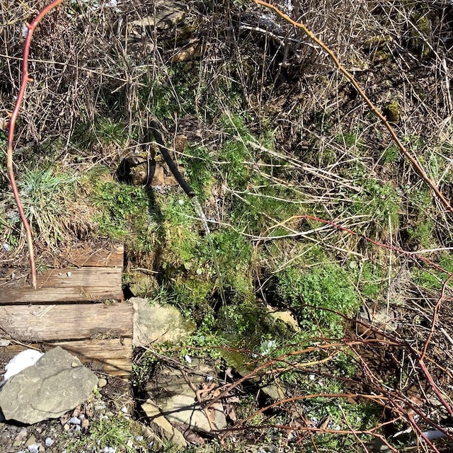 153 Zoerb Hollow Rd, Galeton, PA 16922 - view of local wilderness