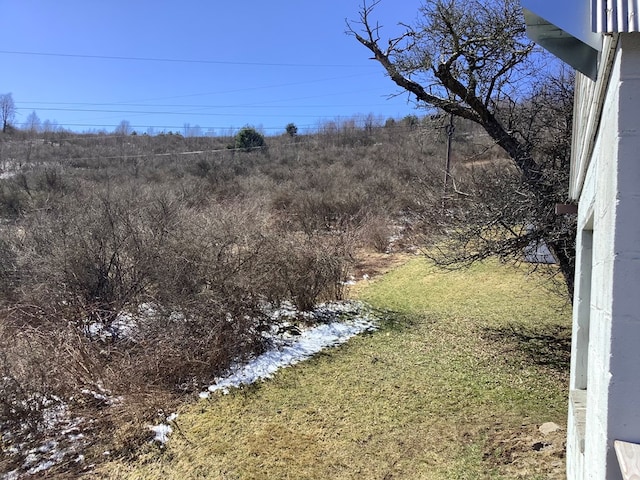153 Zoerb Hollow Rd, Galeton, PA 16922 - view of yard