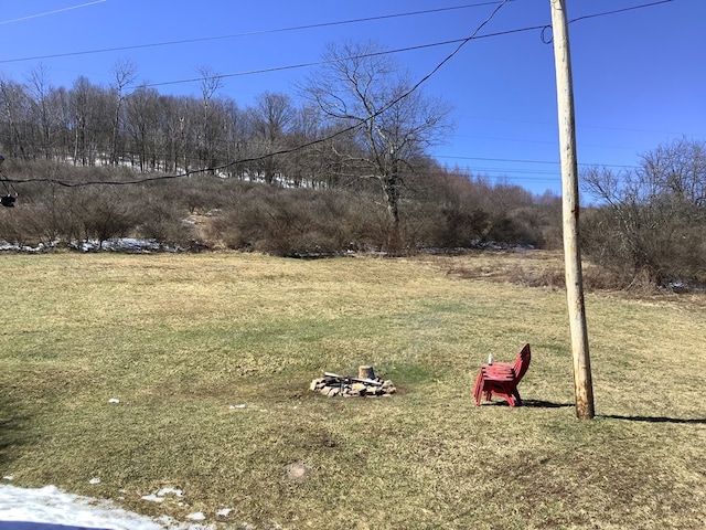 153 Zoerb Hollow Rd, Galeton, PA 16922 - view of yard
