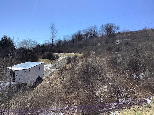 153 Zoerb Hollow Rd, Galeton, PA 16922 - view of yard