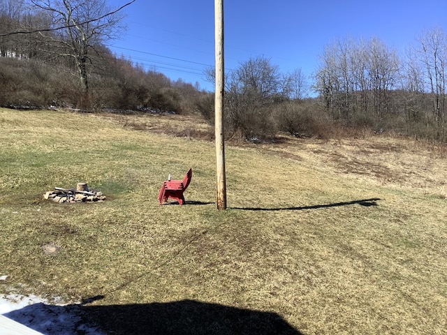 153 Zoerb Hollow Rd, Galeton, PA 16922 - view of yard