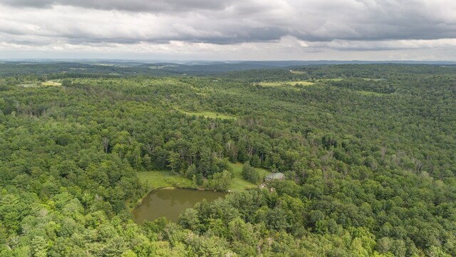 249 Ellison Rd, Lockwood, NY 14859 - photo 10