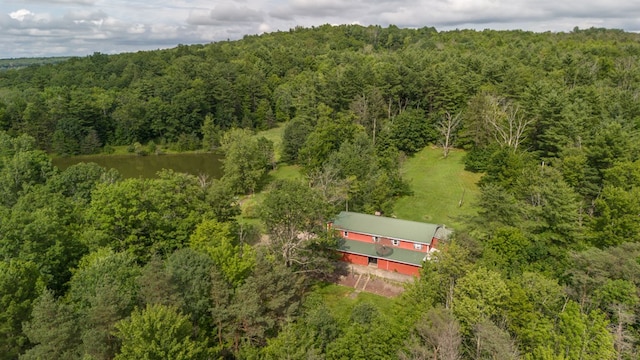249 Ellison Rd, Lockwood, NY 14859 - photo 17