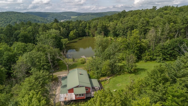 249 Ellison Rd, Lockwood, NY 14859 - photo 16