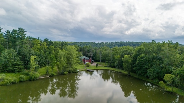 249 Ellison Rd, Lockwood, NY 14859 - photo 21