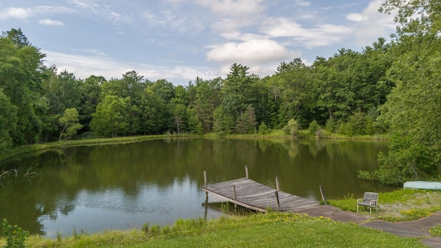 249 Ellison Rd, Lockwood, NY 14859 - photo 20