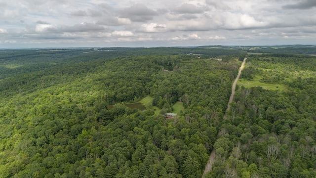 249 Ellison Rd, Lockwood, NY 14859 - photo 9