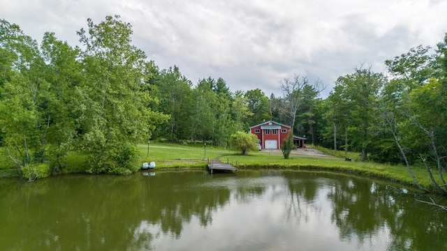 249 Ellison Rd, Lockwood, NY 14859 - photo 22