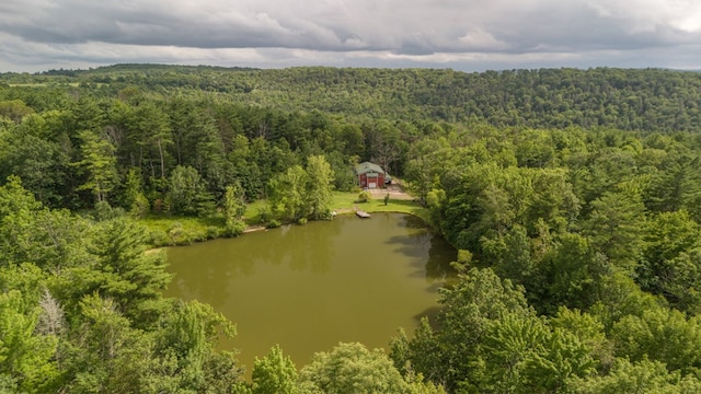 249 Ellison Rd, Lockwood, NY 14859 - photo 13
