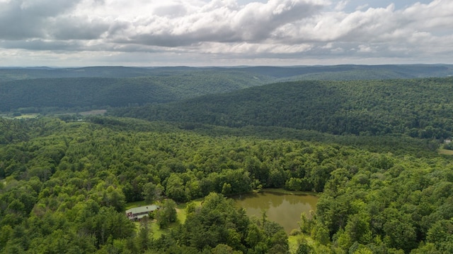 249 Ellison Rd, Lockwood, NY 14859 - photo 12