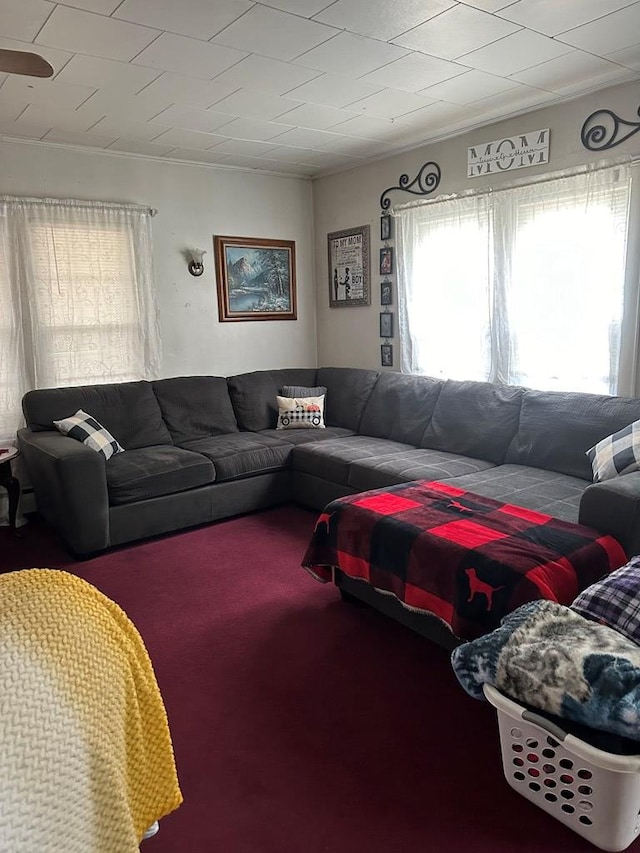 carpeted living room featuring crown molding