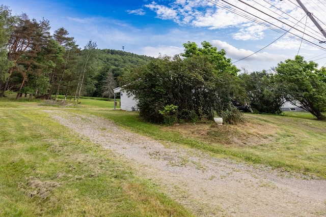 221 S Williamson Rd, Blossburg, PA 16912 - photo 12