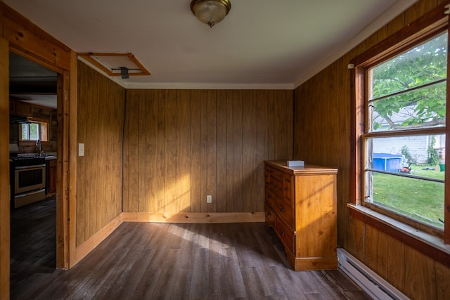 221 S Williamson Rd, Blossburg, PA 16912 - photo 6
