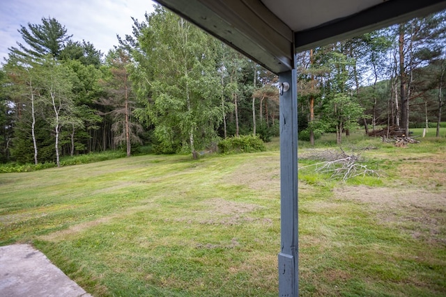 221 S Williamson Rd, Blossburg, PA 16912 - photo 20