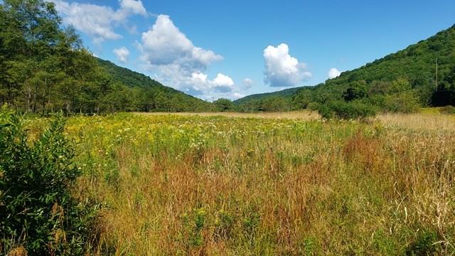 00 Rte 44 N, Coudersport PA, 16915 land for sale