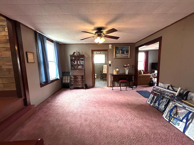 living area with ceiling fan and carpet flooring