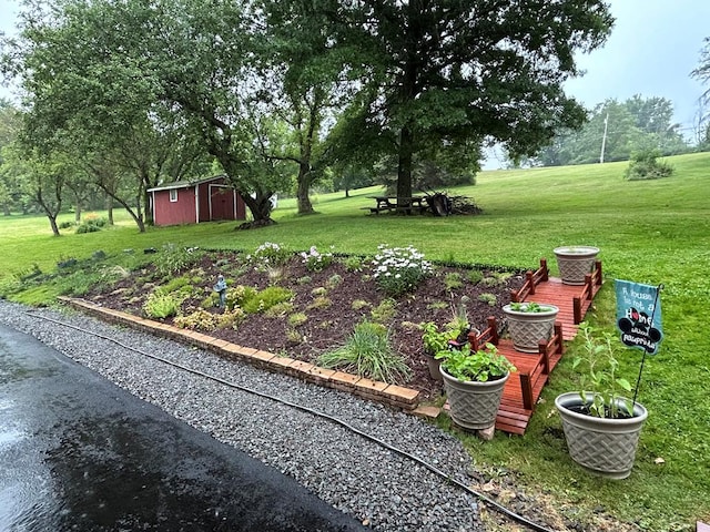 view of yard with a storage shed