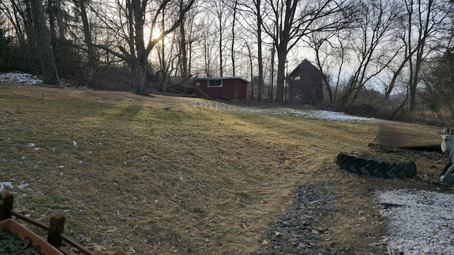 view of yard with a storage shed