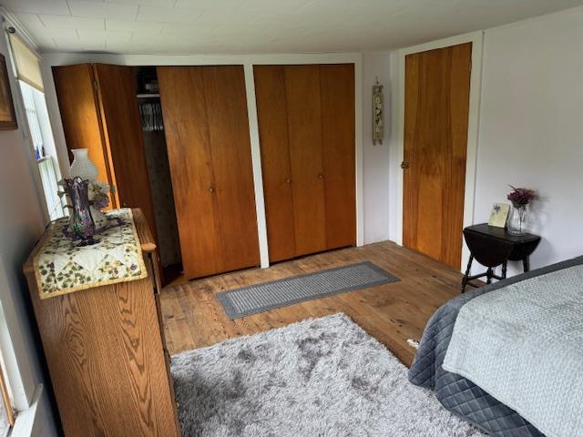 bedroom with two closets and hardwood / wood-style flooring