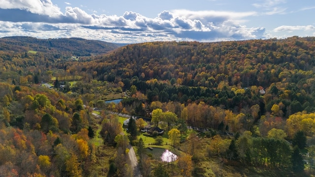 aerial view featuring a water and mountain view