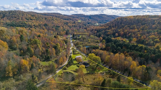 birds eye view of property with a mountain view