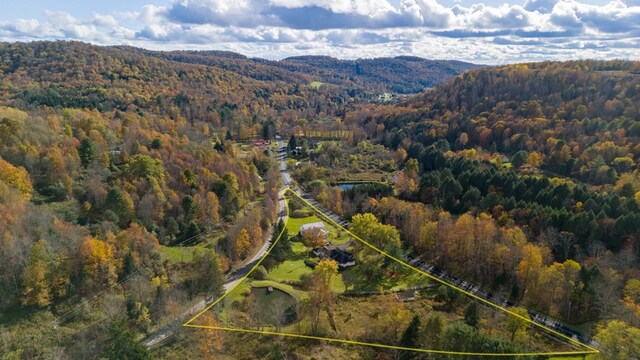 birds eye view of property with a mountain view