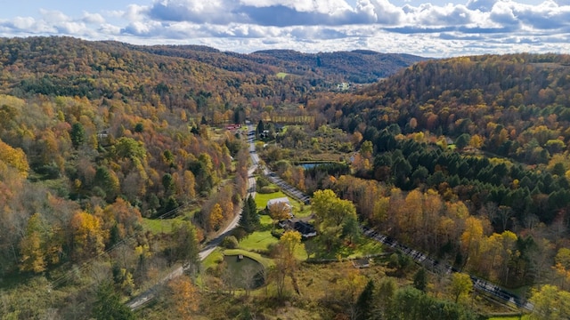 birds eye view of property featuring a mountain view