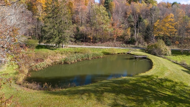 view of home's community with a lawn and a water view