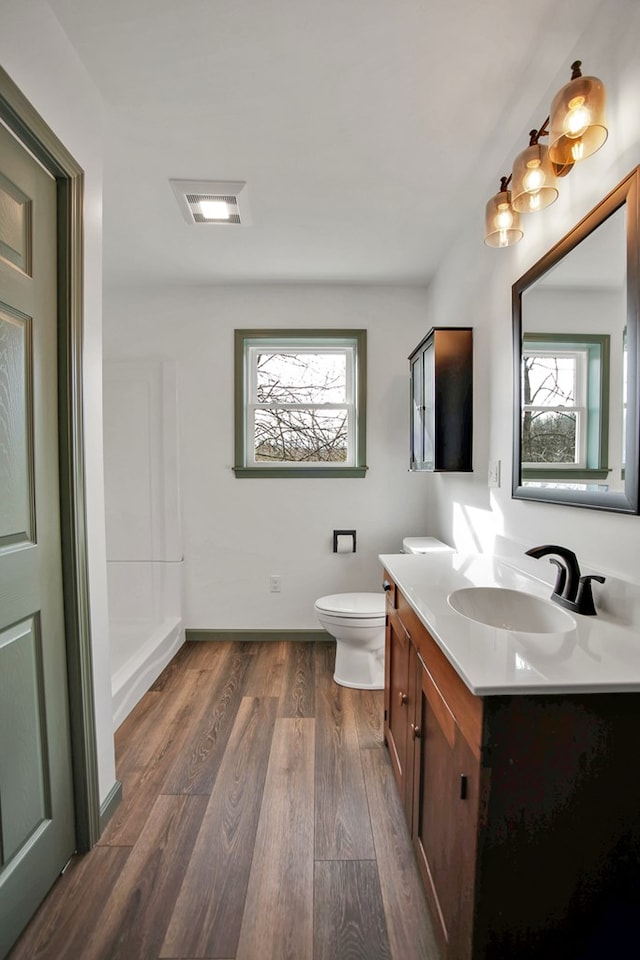 bathroom featuring vanity, wood-type flooring, and toilet