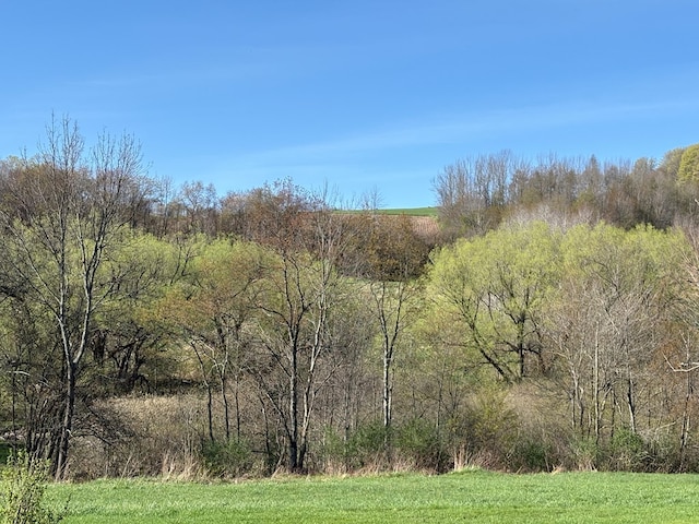 1300 Johnson Rd, Ulysses, PA 16948 - view of nature