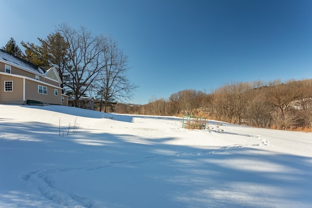 view of yard covered in snow