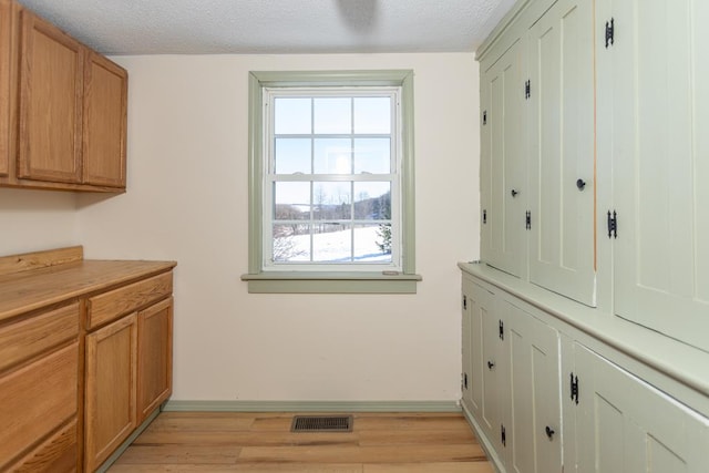 clothes washing area featuring light hardwood / wood-style flooring and a textured ceiling