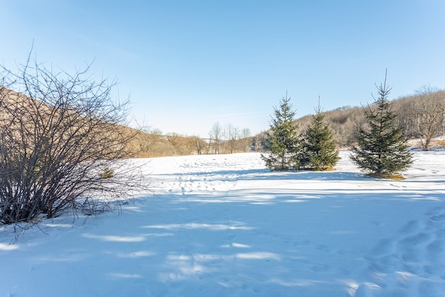 view of yard layered in snow