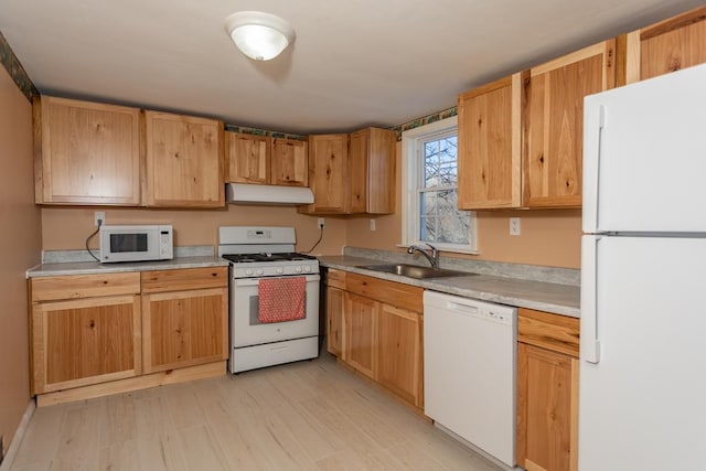 kitchen featuring sink, white appliances, and light hardwood / wood-style floors