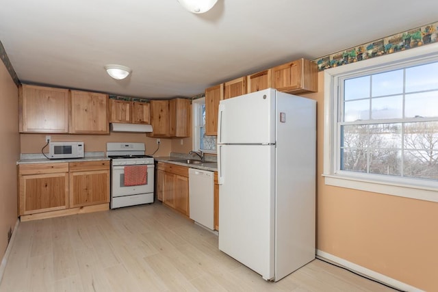 kitchen featuring plenty of natural light, sink, white appliances, and light wood-type flooring