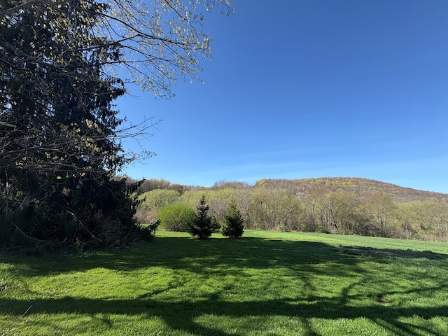 1300 Johnson Rd, Ulysses, PA 16948 - view of yard featuring a forest view