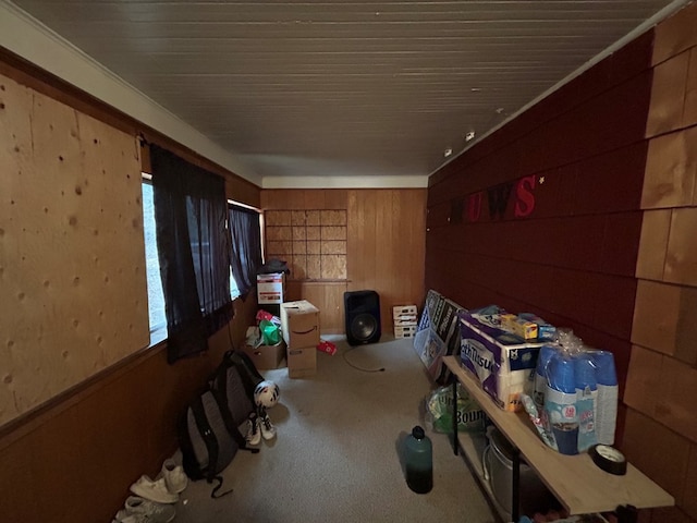 interior space featuring carpet floors and wood walls