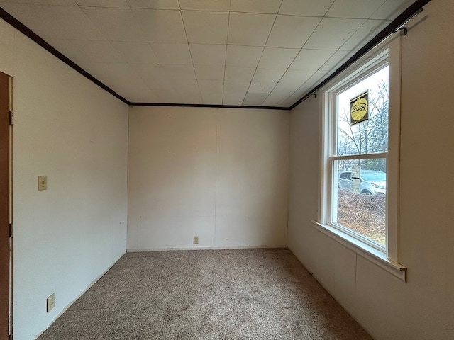 carpeted spare room featuring plenty of natural light and ornamental molding