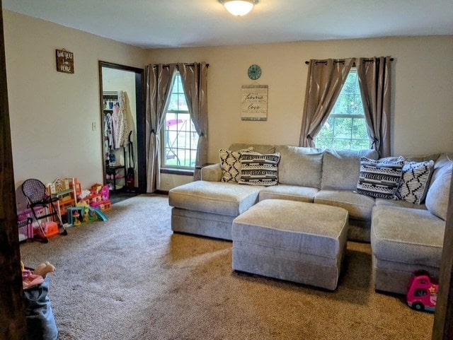 91 Carlton Dr, Covington, PA 16917 - photo 17