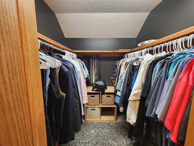 82 Cherry Tree Ln, Coudersport, PA 16915 - spacious closet featuring carpet and vaulted ceiling
