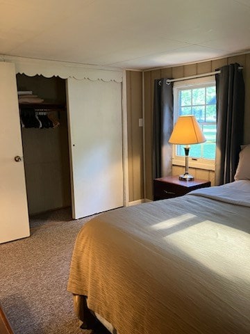 32 Investment Ln, Milan, PA 18831 - carpeted bedroom featuring a closet