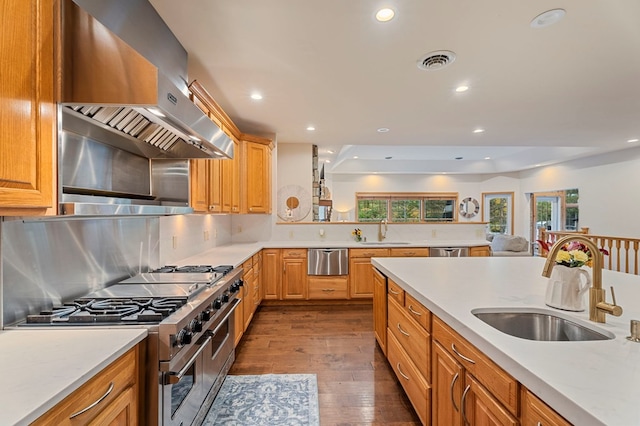 kitchen featuring decorative backsplash, stainless steel appliances, wall chimney range hood, and sink