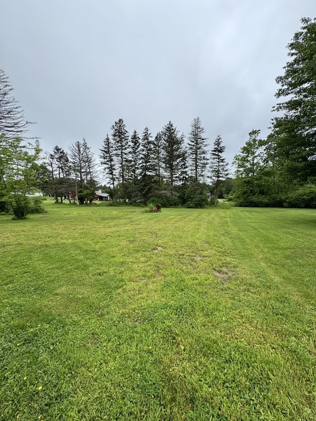 519 N Elk Ave, Kane, PA 16735 - view of grassy yard